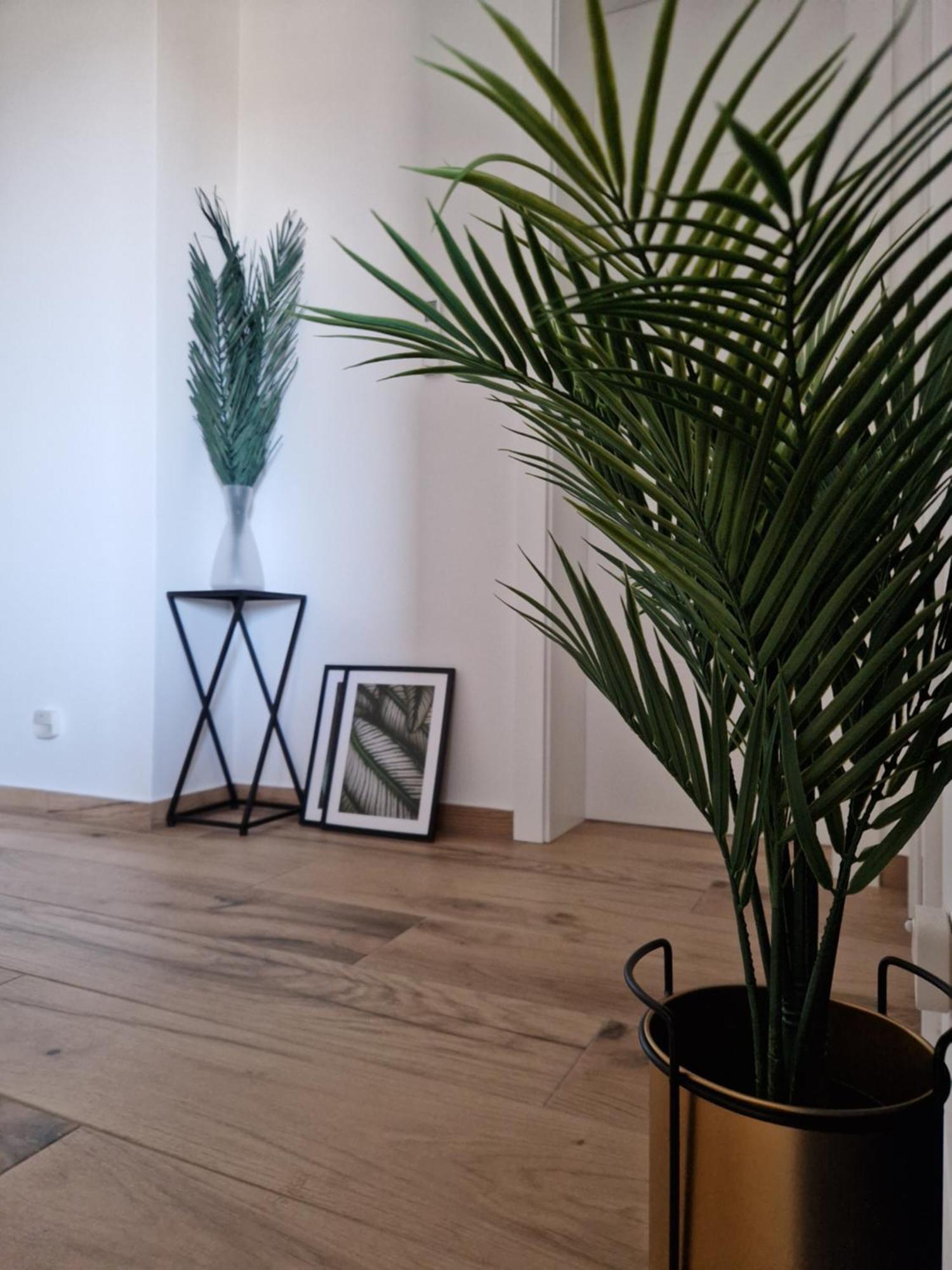Apartment Luka Privlaka  Bagian luar foto